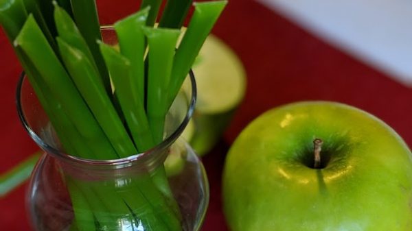 Why-Bee-man-Honey-Sticks-are-the-best-choice-for-you-this-Saint-Patrick’s-Day