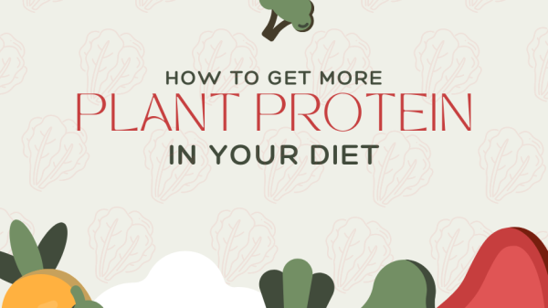 Find out how to incorporate muscle-building protein into your vegan and vegetarian lifestyle with plant protein!
