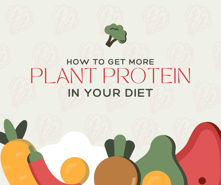 Find out how to incorporate muscle-building protein into your vegan and vegetarian lifestyle with plant protein!