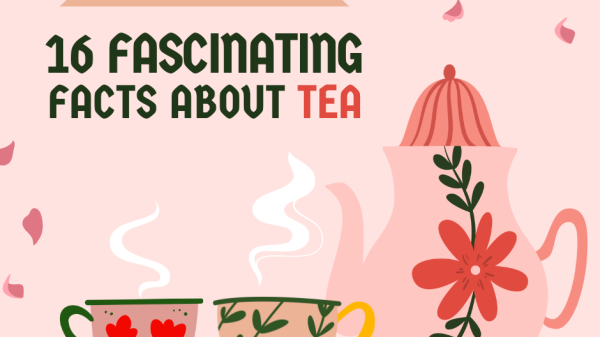 Tea isn’t just popular in China and the United Kingdom, and that's facts. It’s loved all over the world!