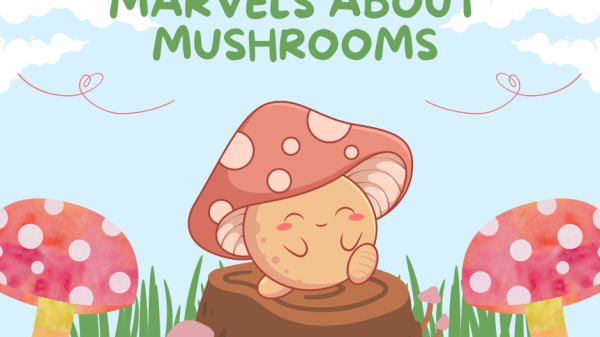 Mushrooms are marvelous for your health.
