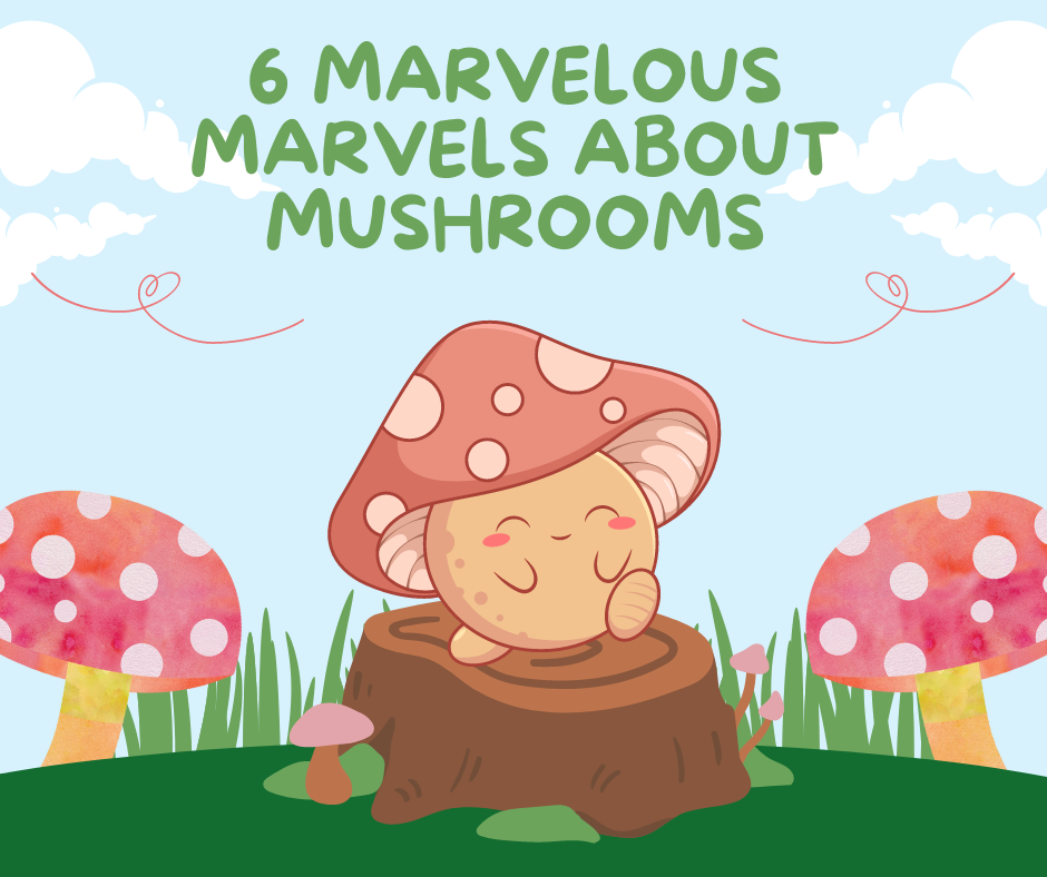 Mushrooms are marvelous for your health.