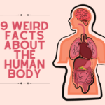 Here are the crazy facts about the human body.