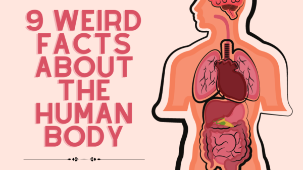 Here are the crazy facts about the human body.